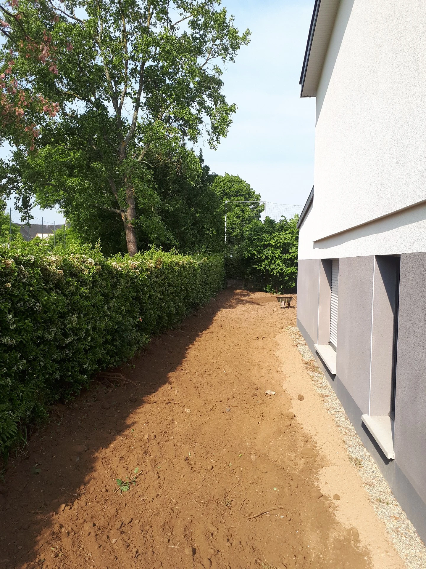 20180516-100348.jpg